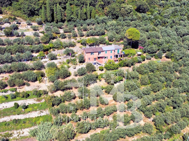 Casa Indipendente in Vendita a Sori, 590'000€, 175 m²