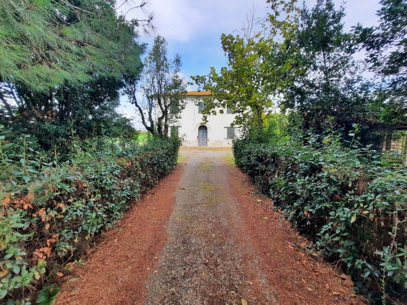 Casa Indipendente in Vendita a Terricciola, zona Selvatelle, 170'000€, 270 m²