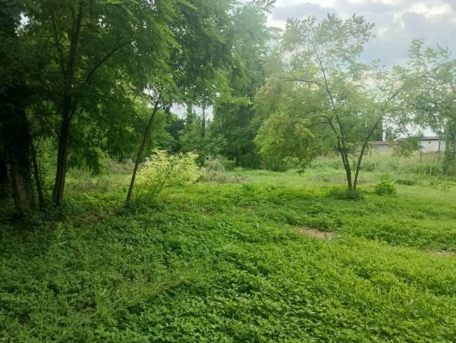 Terreno agricolo in Vendita a Pordenone, 25'000€, 4500 m²