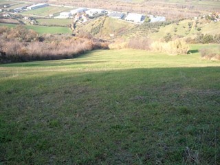 Terreno agricolo in Vendita a Colonnella, 7'500€, 15945 m²