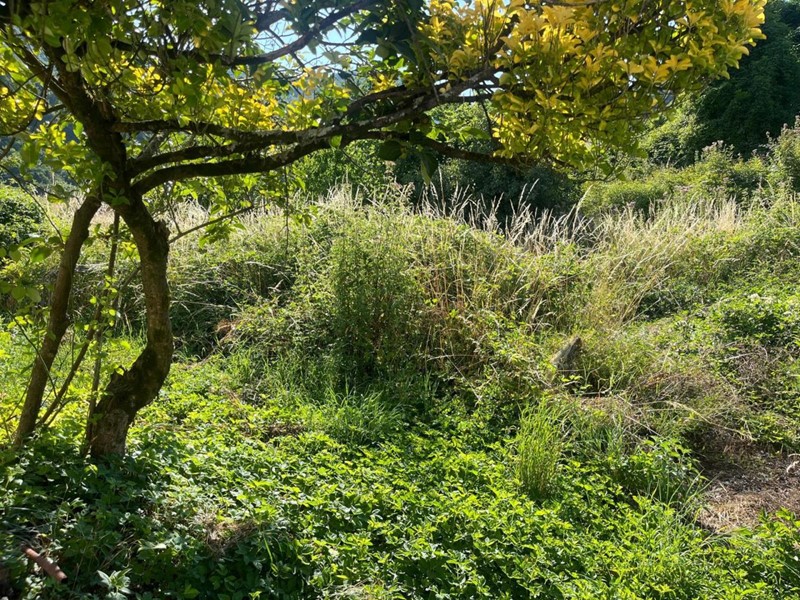 Casa Semi Indipendente in Vendita a Maissana, zona Campore, 50'000€, 132 m²