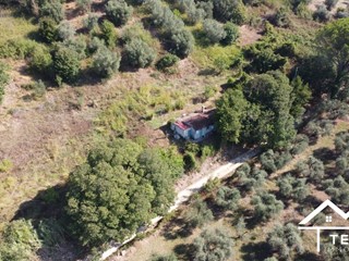 Casale in Vendita a Stimigliano, 25'000&euro;, 35 m²