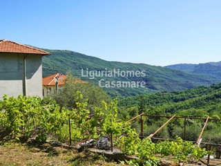 Casa Semi Indipendente in Vendita a Borgomaro, 250'000€, 245 m²