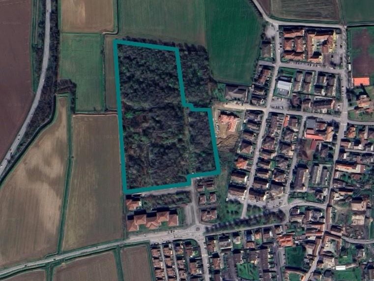 Terreno edificabile in Vendita a Bornasco, 318'750€, 49626 m²
