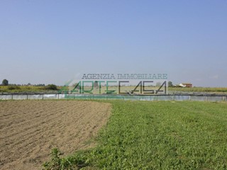 Terreno agricolo in Vendita a Cascina, zona San Giorgio, 37'000€, 9580 m²