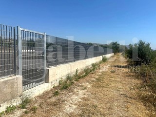 Terreno agricolo in Affitto a Avola, 1'900€, 2962 m²