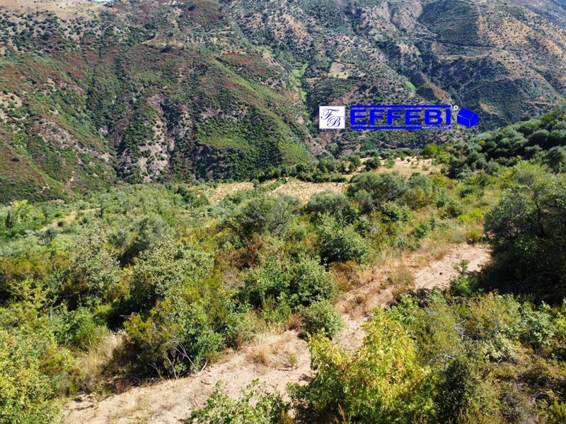 Attività commerciale in Vendita a Luzzi, 55'000€, 13000000 m²