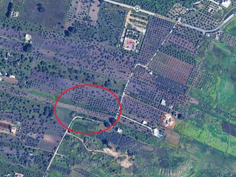 Terreno agricolo in Vendita a Castelvetrano, 15'000&euro;, 3900 m²