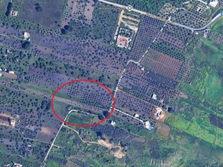Terreno agricolo in Vendita a Castelvetrano, 15'000&euro;, 3900 m²