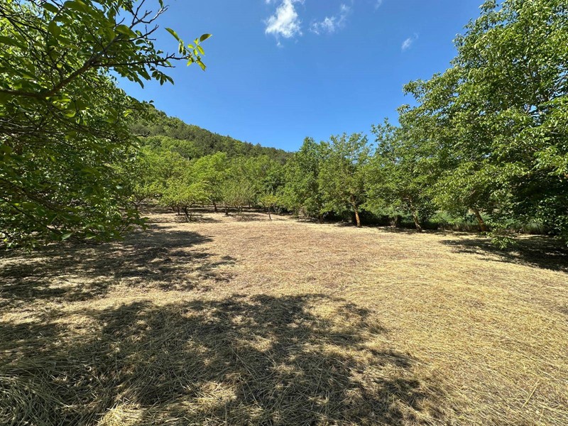 Terreno edificabile in Vendita a Caporciano, 36'000&euro;, 2400 m²