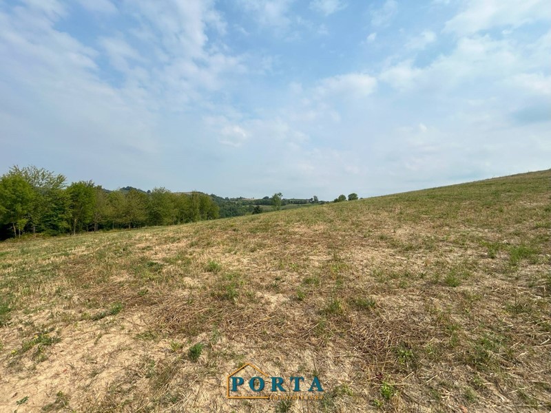 Terreno agricolo in Vendita a Rocca Cigliè, 19'000€, 28000 m²