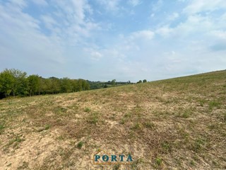 Terreno agricolo in Vendita a Rocca Cigliè, 19'000€, 28000 m²