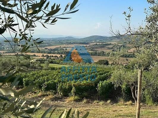 Attività commerciale in Vendita a Empoli, 170'000€, 400 m²