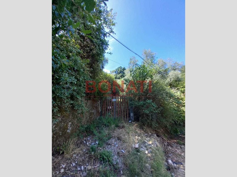 Terreno agricolo in Vendita a Vezzano Ligure, 40'000€, 3163 m²