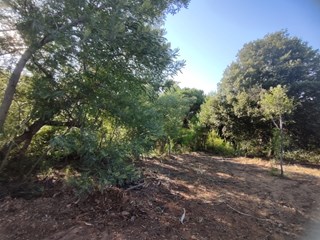 Terreno edificabile in Vendita a Capoliveri, zona nel verde, 160'000€, 2000 m²