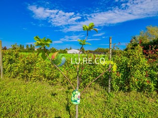 Terreno agricolo in Vendita a Vimercate, 36'000€, 3000 m²