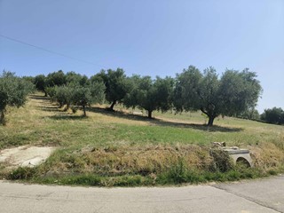 Terreno agricolo in Vendita a Acquaviva Picena, 35'000€, 7610 m²