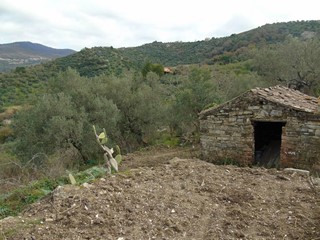 Terreno edificabile in Vendita a San Mauro Cilento, 65'000&euro;, 8500 m²