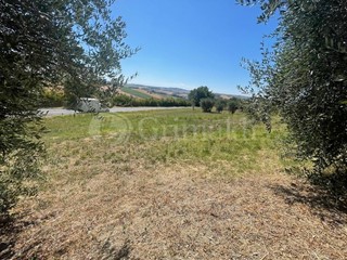 Casa Indipendente in Vendita a Jesi, 230'000€, 120 m²