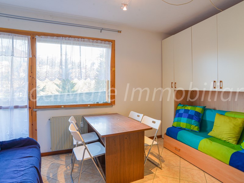 Monolocale in Vendita a Frabosa Sottana, zona Artesina, 28'000€, 26 m², arredato