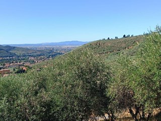 Terreno agricolo in Vendita a Calci, 35'000€, 7500 m²