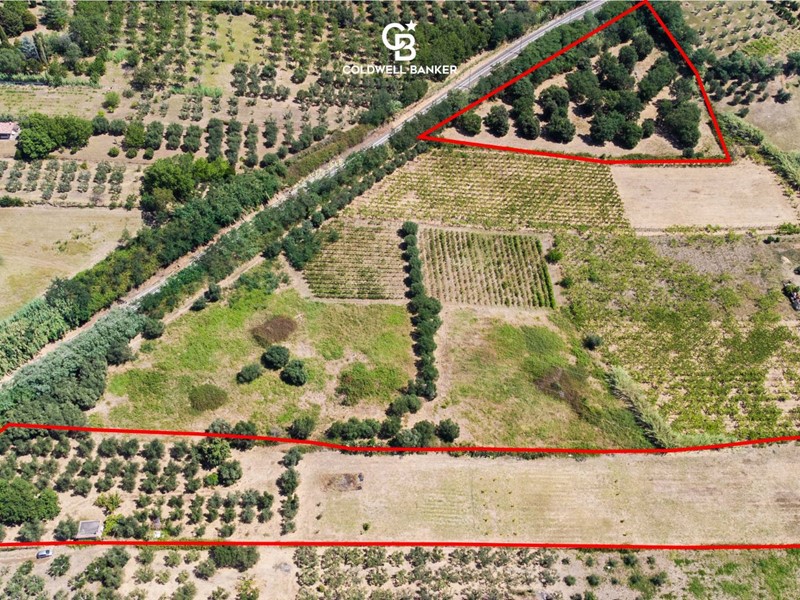 Terreno agricolo in Vendita a Lanuvio, 69'000€, 18600 m²