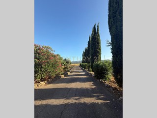 Casa Indipendente in Vendita a Grosseto, 185'000€, 160 m², con Box