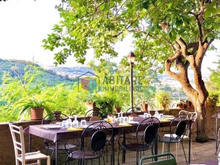 Villa in Vendita a Bibbona, 1'200'000€, 300 m²