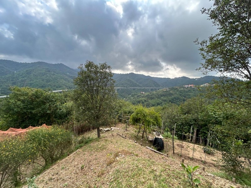 Terreno agricolo in Vendita a Quiliano, 15'000€, 4000 m²