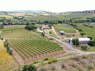 Attività commerciale in Vendita a Grosseto, 1'600'000€, 270000 m²