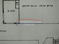 Ufficio in Vendita a Massa, 50'000€, 40 m²