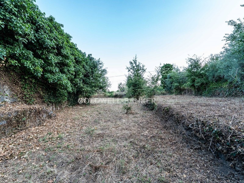 Rustico in Vendita a Giarre, 550'000€, 700 m²