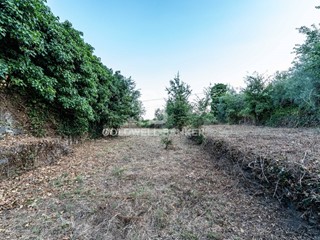 Rustico in Vendita a Giarre, 550'000€, 700 m²