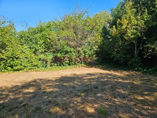 Terreno edificabile in Vendita a Grosseto, 240'000€, 2000 m²