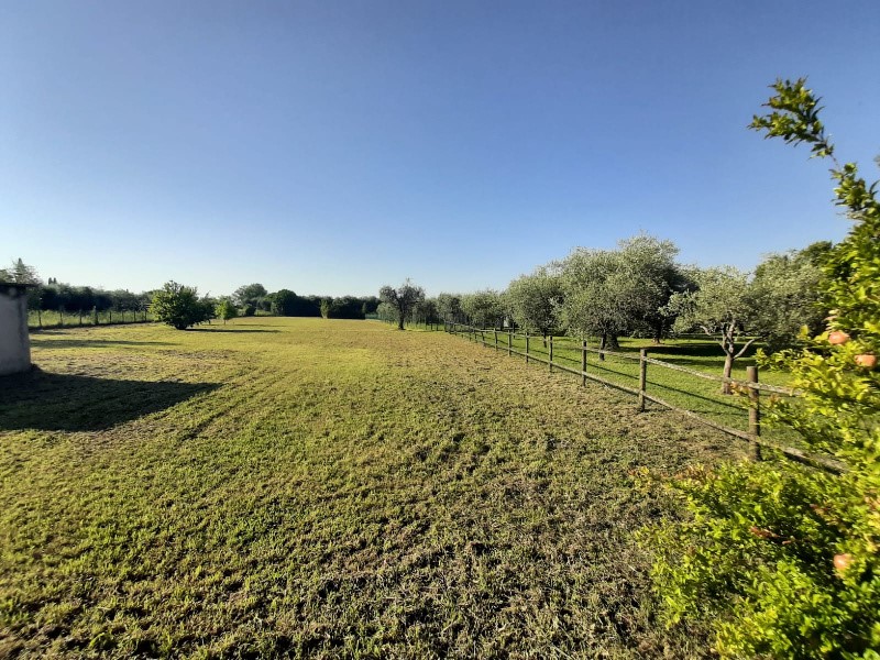 Terreno agricolo in Vendita a San Felice del Benaco, 195'000€, 3047 m²