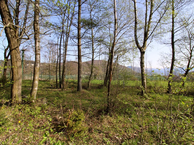 Terreno agricolo in Vendita a Alta Valle Intelvi, 38'000&euro;, 6000 m²