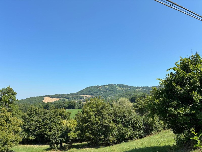 Terreno agricolo in Vendita a Maiolo, zona Antico, 18'000€, 43500 m²