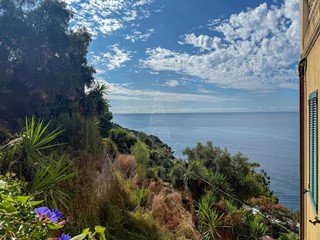 Terreno agricolo in Vendita a Ventimiglia, zona Grimaldi Inferiore, 49'000€, 323 m²