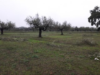 Terreno edificabile in Vendita a Cepagatti, 90'000&euro;, 3635 m²