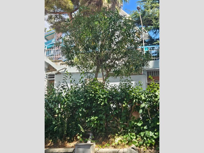 Quadrilocale in Vendita a Sanremo, 130'000€, 39 m²