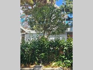 Quadrilocale in Vendita a Sanremo, 130'000€, 39 m²