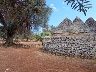 Cascina in Vendita a San Michele Salentino, 90'000&euro;, 110 m²