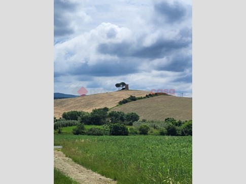 Terreno agricolo in Vendita a Bibbona, 45'000€, 10790 m²