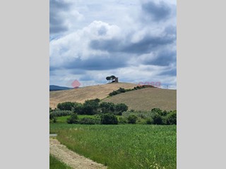 Terreno agricolo in Vendita a Bibbona, 45'000€, 10790 m²