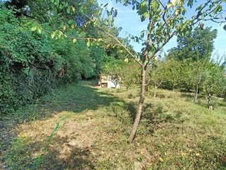 Terreno agricolo in Vendita a Orte, 8'000€, 3600 m²