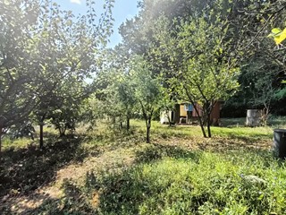 Terreno agricolo in Vendita a Orte, 8'000€, 3600 m²