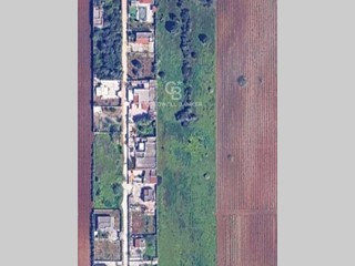 Terreno agricolo in Vendita a Brindisi, 60'000€, 16600 m²