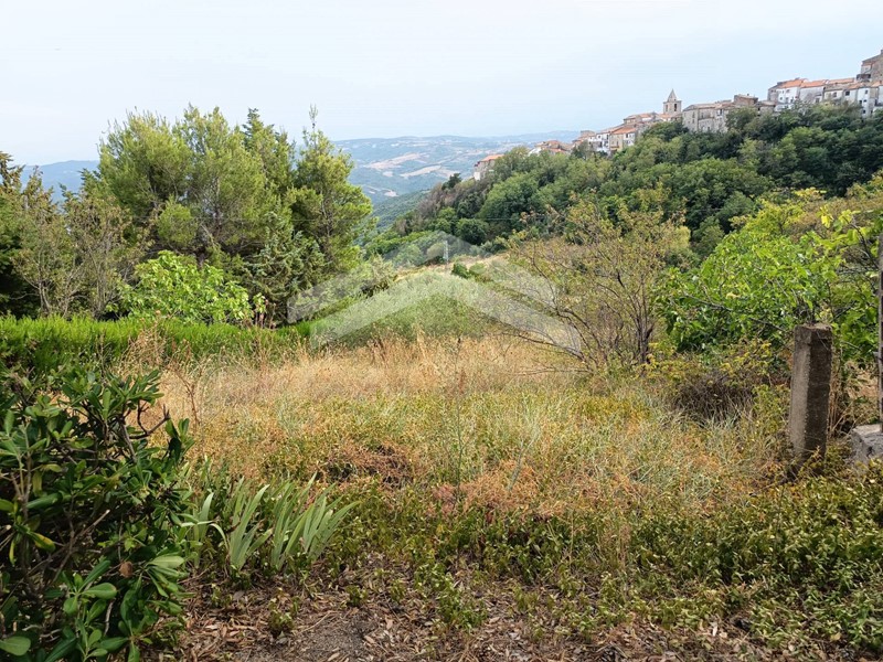 Terreno agricolo in Vendita a Castelbottaccio, 13'800€, 2840 m²