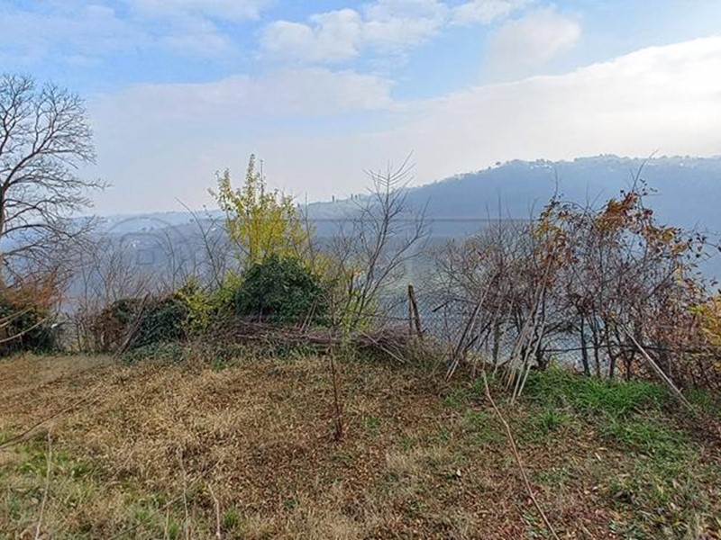 Terreno agricolo in Vendita a Altavilla Vicentina, 39'000€, 9300 m²
