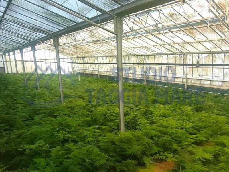 Terreno agricolo in Vendita a Taggia, 120'000€, 3026 m²